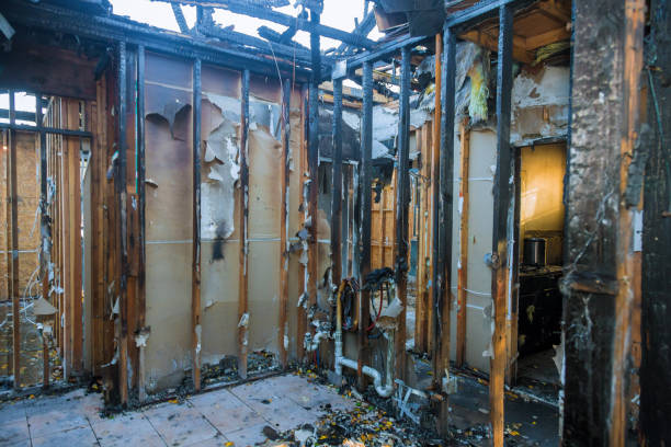 Professional Fire Damage Restoration technician working in Senath, MO